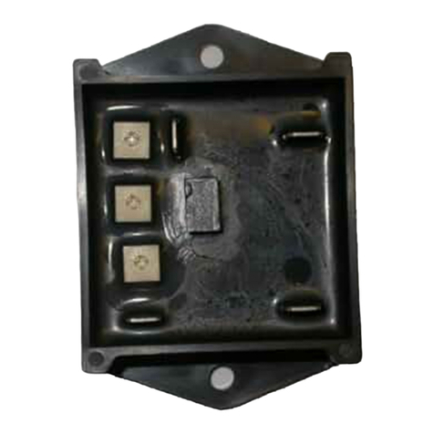 Eng-Genius Technologies DeepCycle Timer Manuale utente