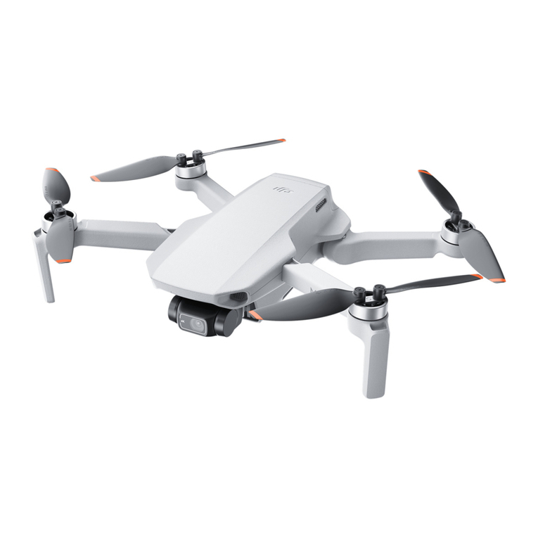 dji Mini 2 Manuale utente