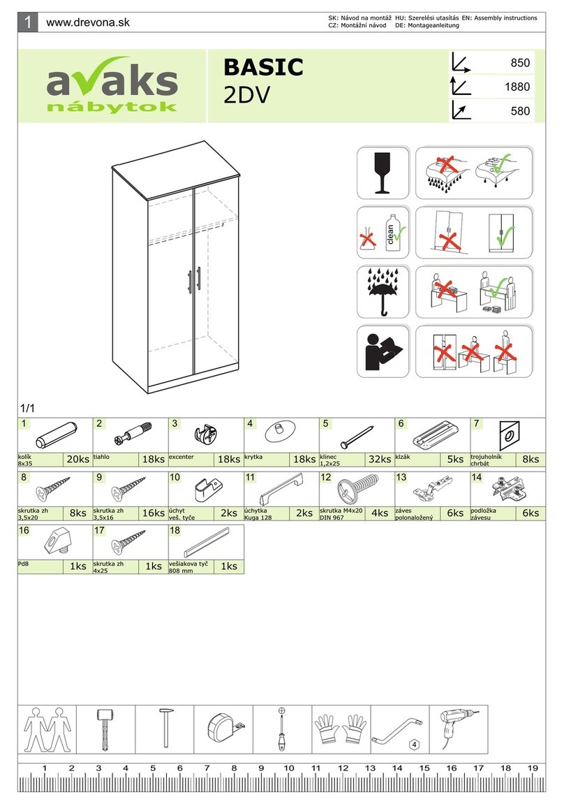 avaks BASIC 2DV Manuale utente