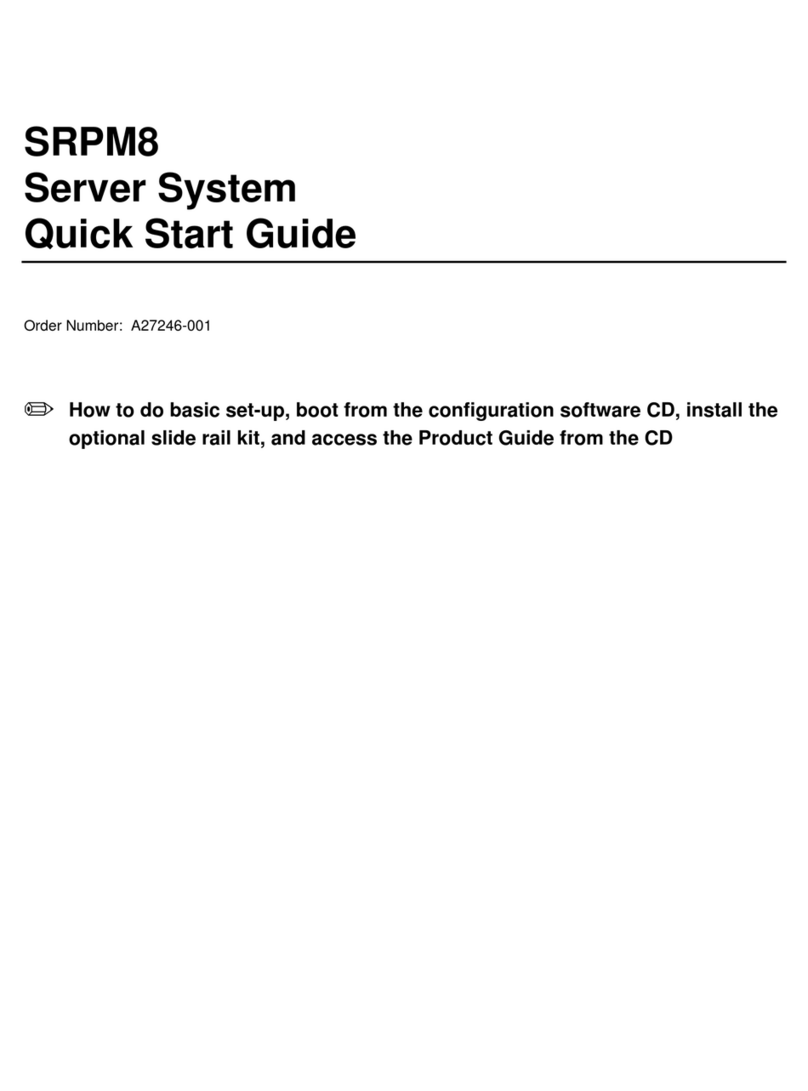 Intel SRPM8 Manuale utente