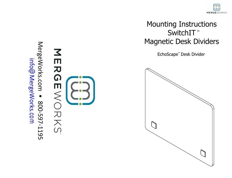 MERGEWORKS SwitchIT EchoScape Manuale utente