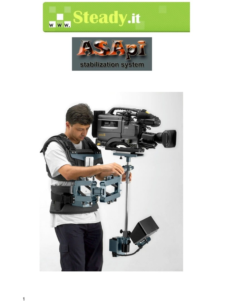 Steady.it ASApi Manuale utente