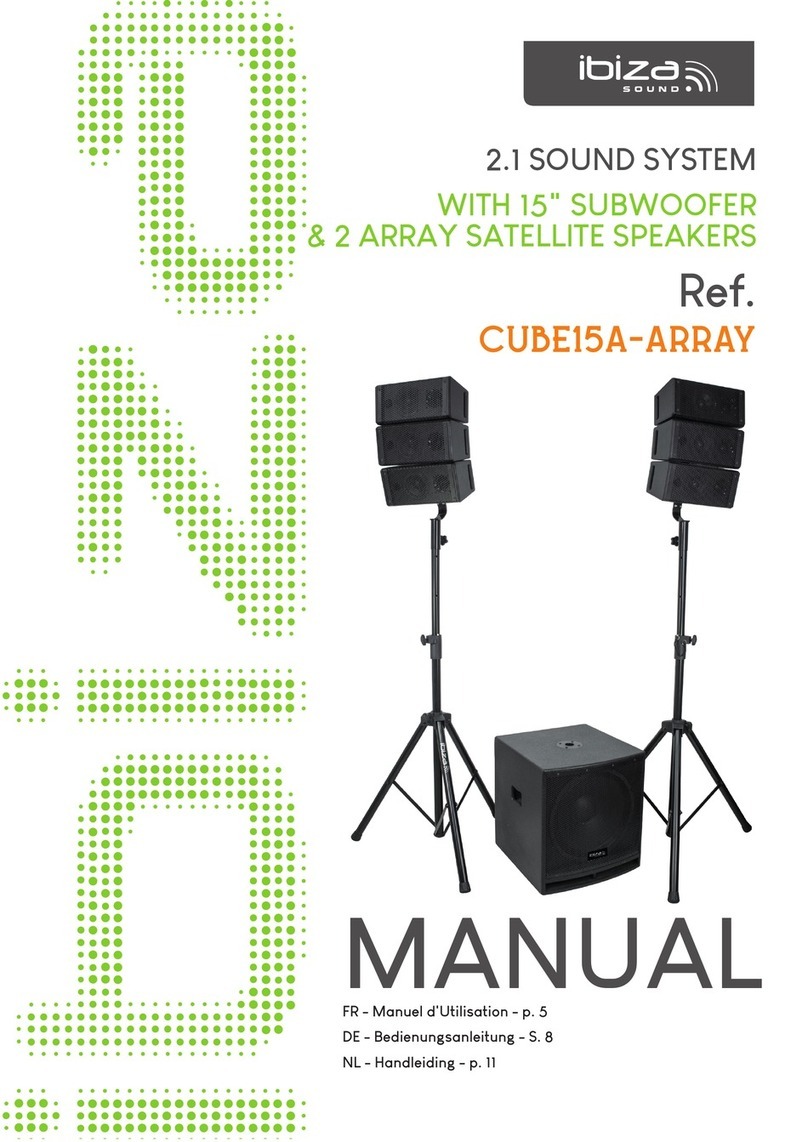 Ibiza CUBE15A-ARRAY Manuale utente