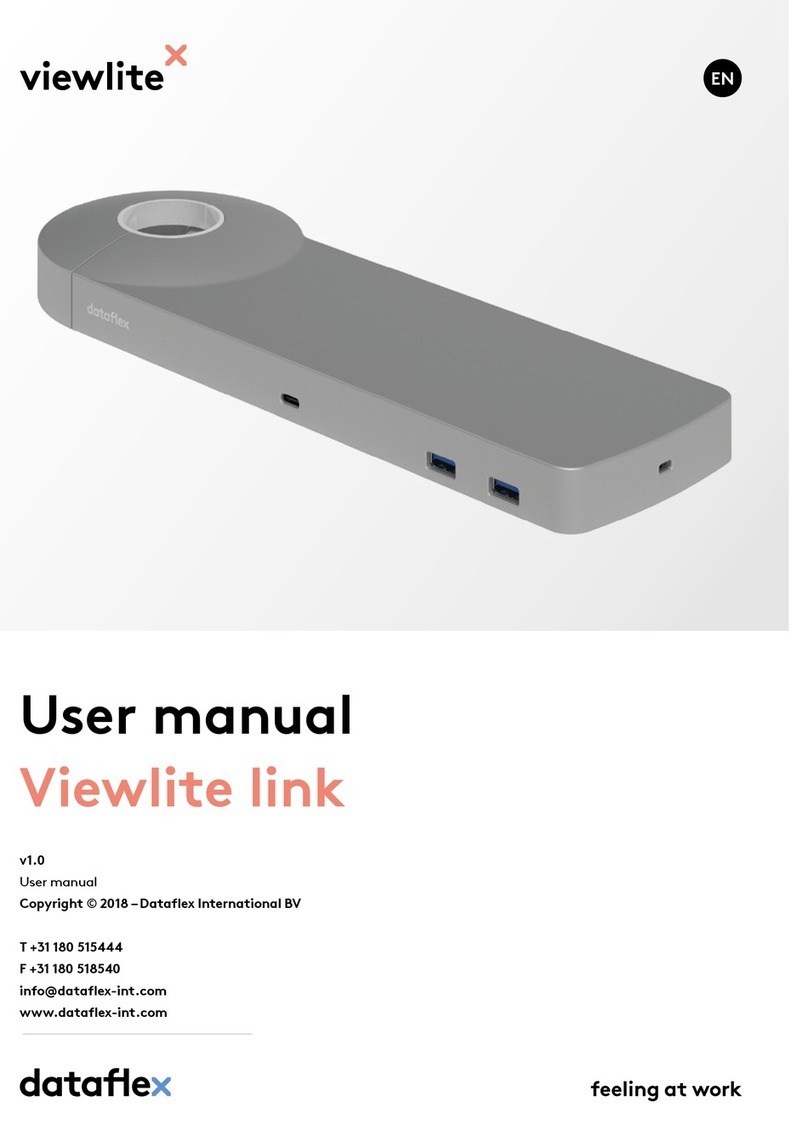dataflex Viewlite link Manuale utente