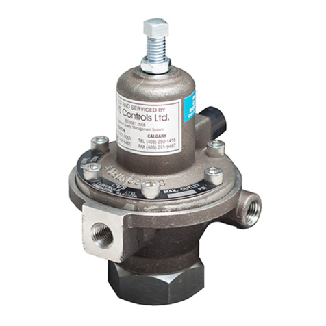 CVS Controls Ltd. 1301F Manuale utente