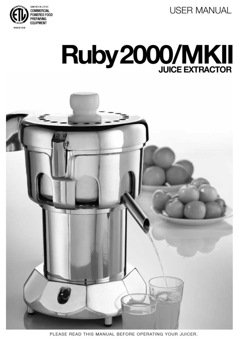 Ruby Tech 2000/MKII Manuale utente