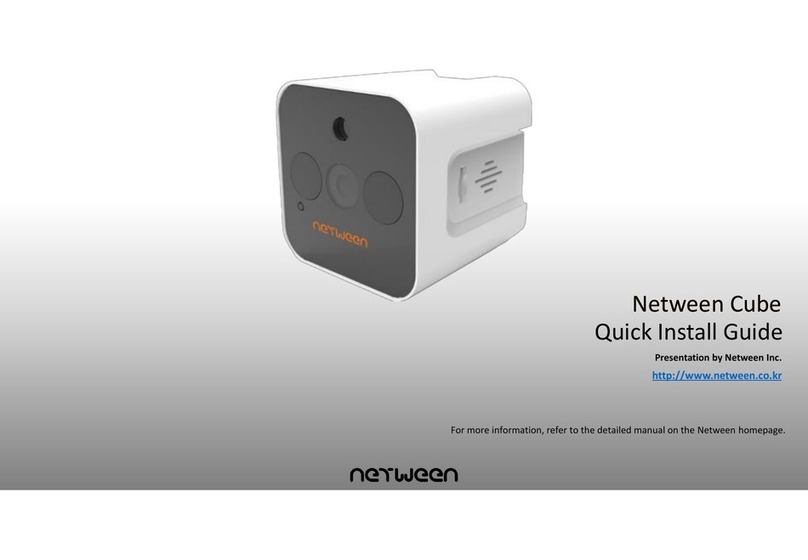 NETWEEN CUBE Manuale utente
