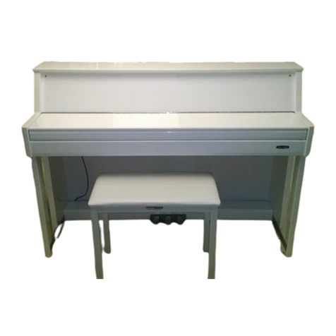 Medeli DP70EU Manuale utente