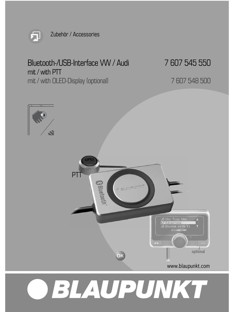 Blaupunkt Bluetooth-USB Interface Manuale utente