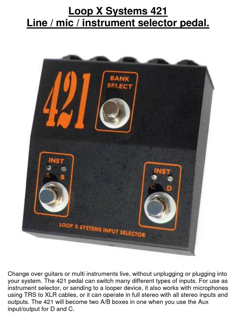 DEELEEBOB Loop X Systems 421 Manuale utente