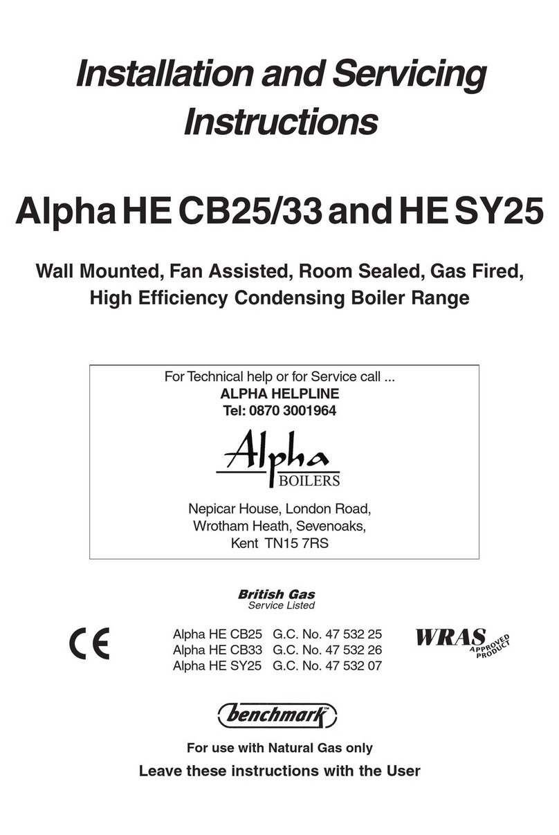 Alpha Boilers HE CB25 Guida utente