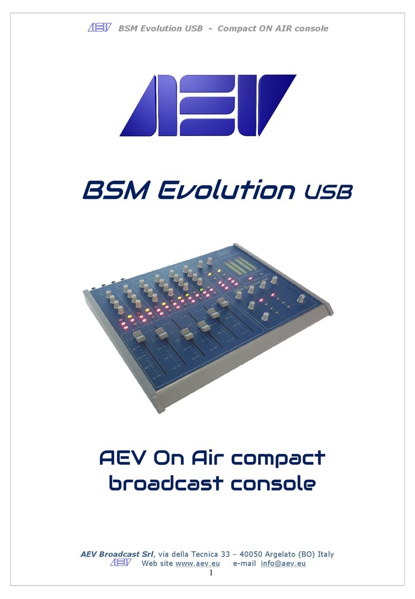 AEV BSM Evolution USB Manuale utente