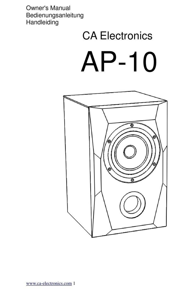 CA Electronics AP-10 Manuale utente