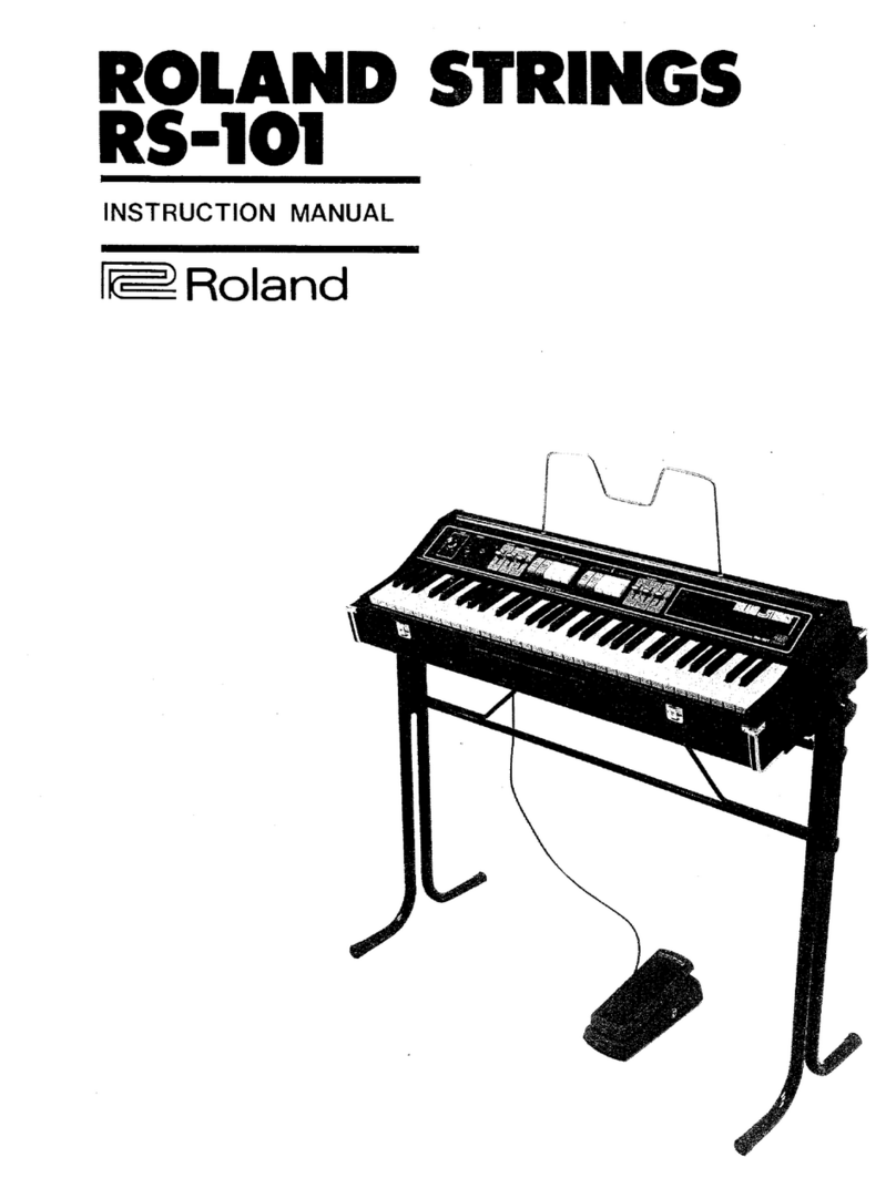 Roland RS-101 Strings Manuale utente
