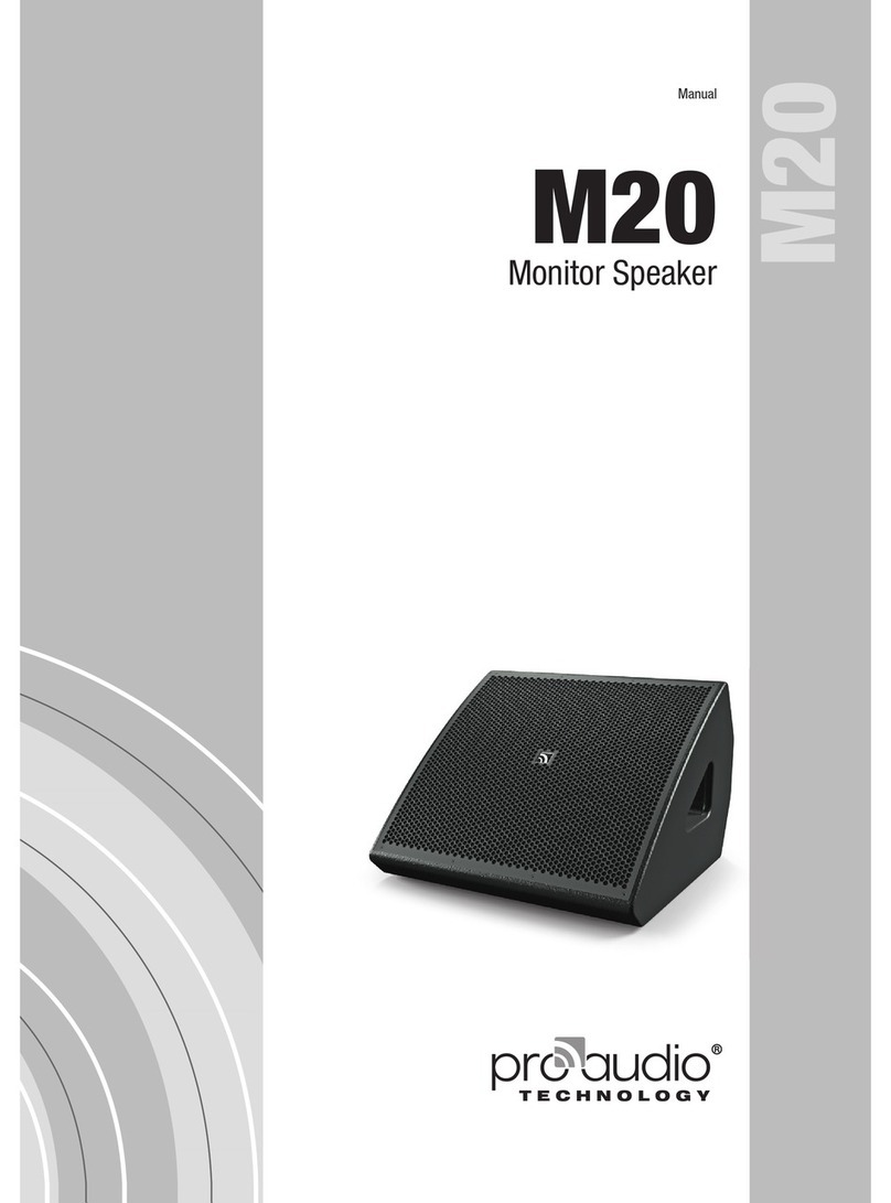 ProAudio M20 Manuale utente