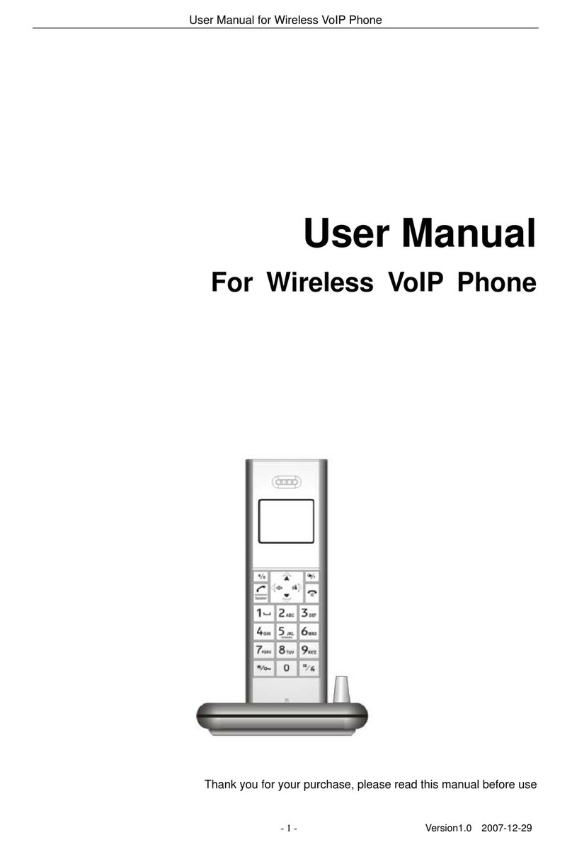 BeyondTel WP-01 Manuale utente