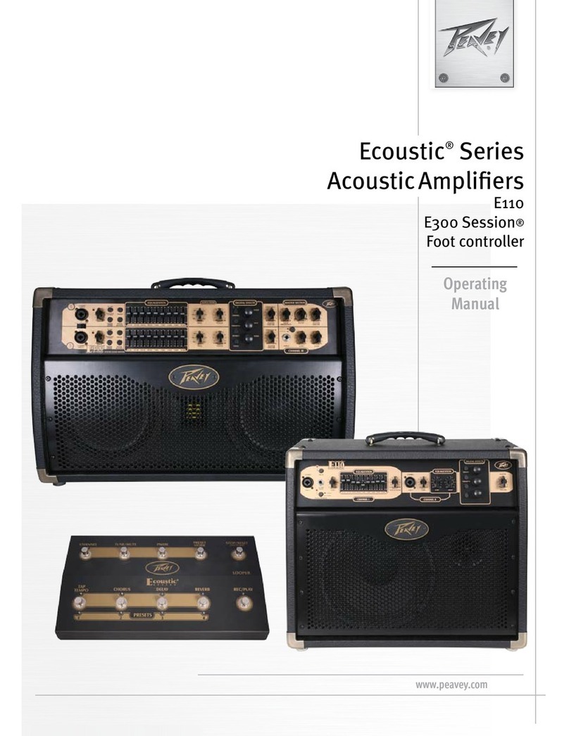 Peavey E110 Manuale utente