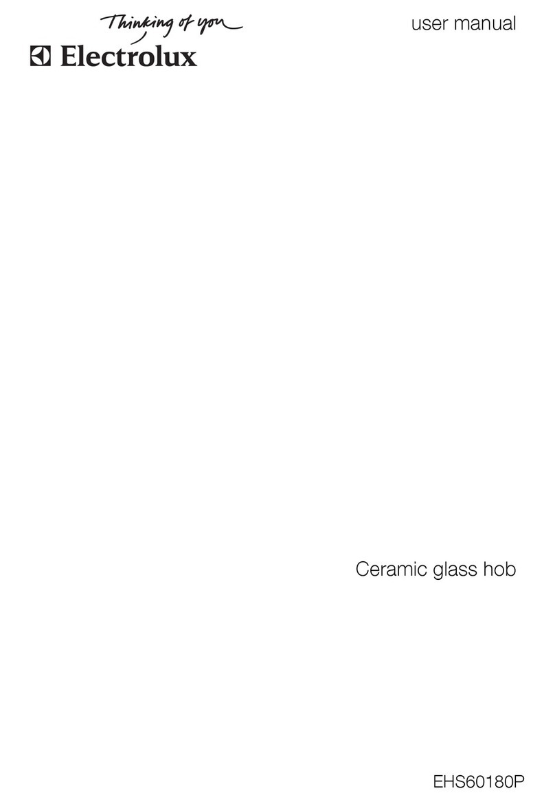 Electrolux EHS60180P Manuale utente