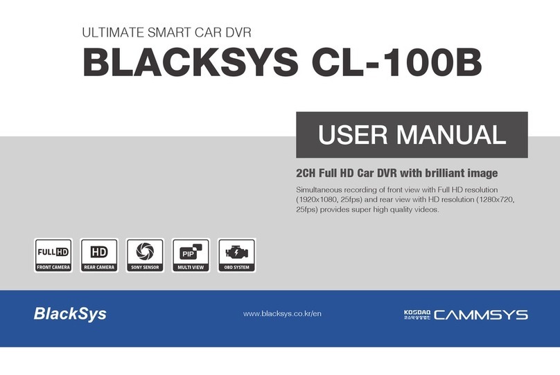 BlackSys CL-100B Manuale utente