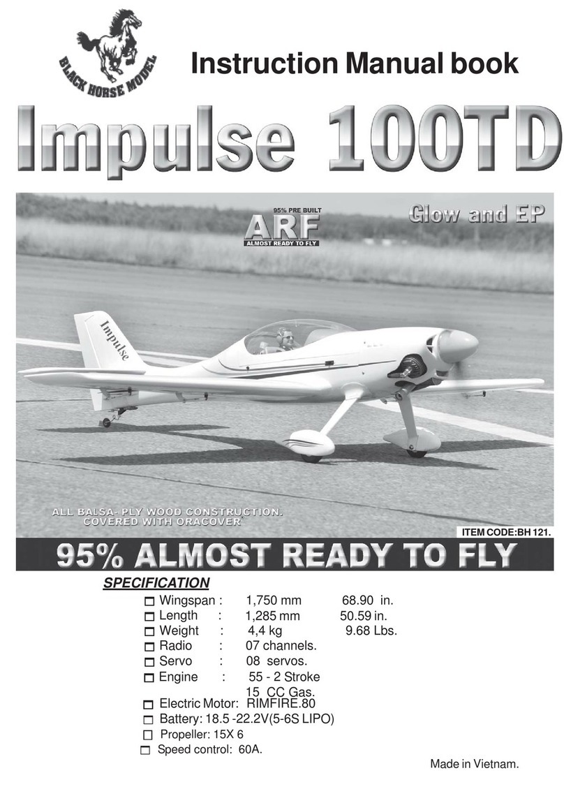 Black Horse Model Impulse 100TD Manuale del proprietario Black Horse Model Impulse 100TD Manuale del proprietario