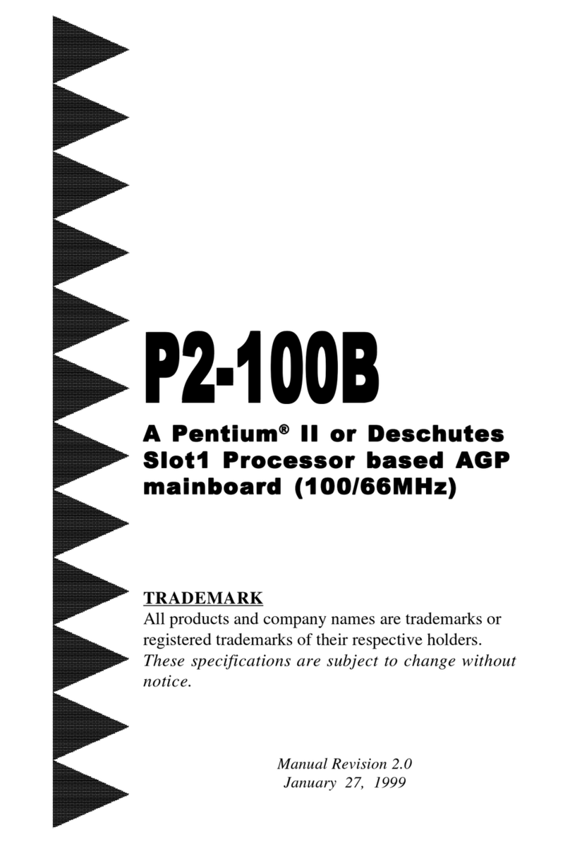 EPOX P2-100B Manuale utente