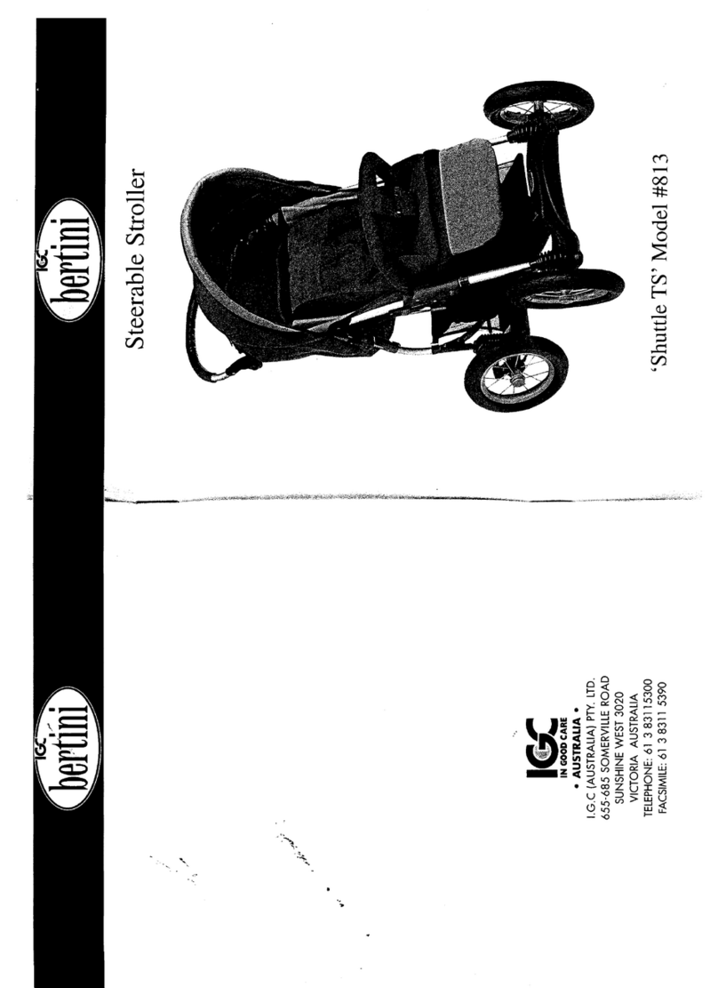 Bertini 813 Manuale utente