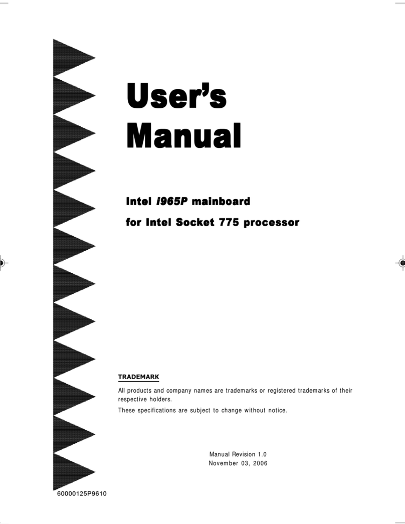 Intel I965P Manuale utente