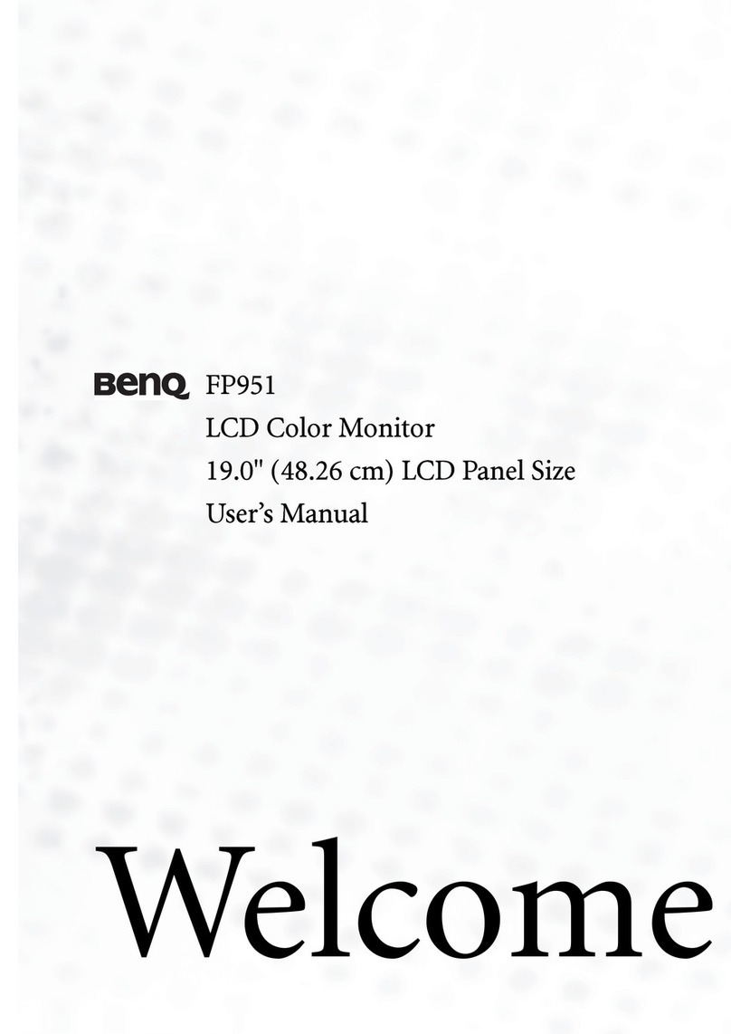 BenQ FP951 Manuale utente