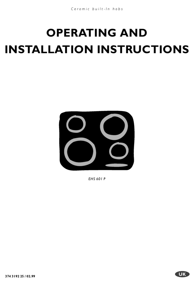 Electrolux EHS 601 P Manuale utente