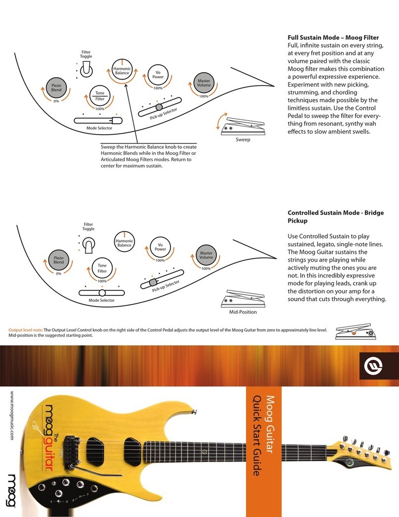 Moog Guitar Manuale utente