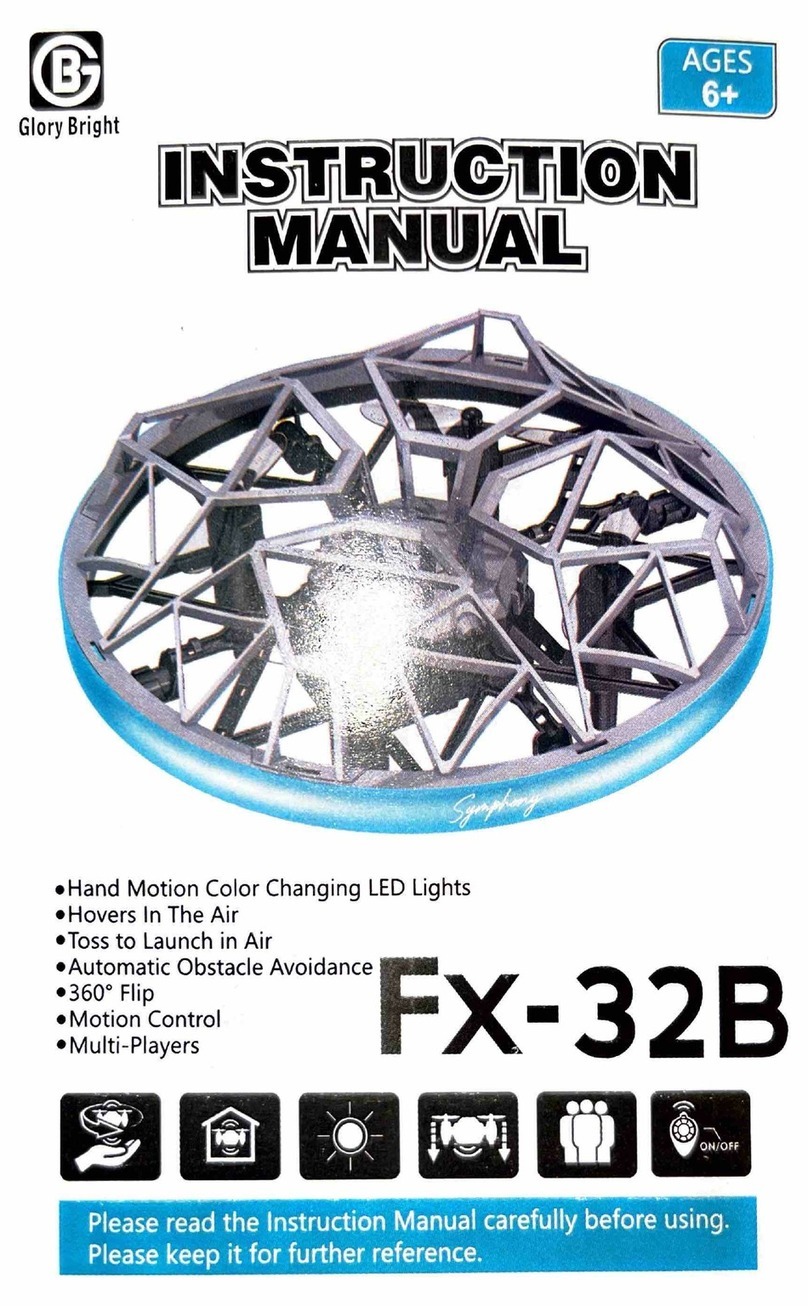 Glory Bright Tornado Manuale utente