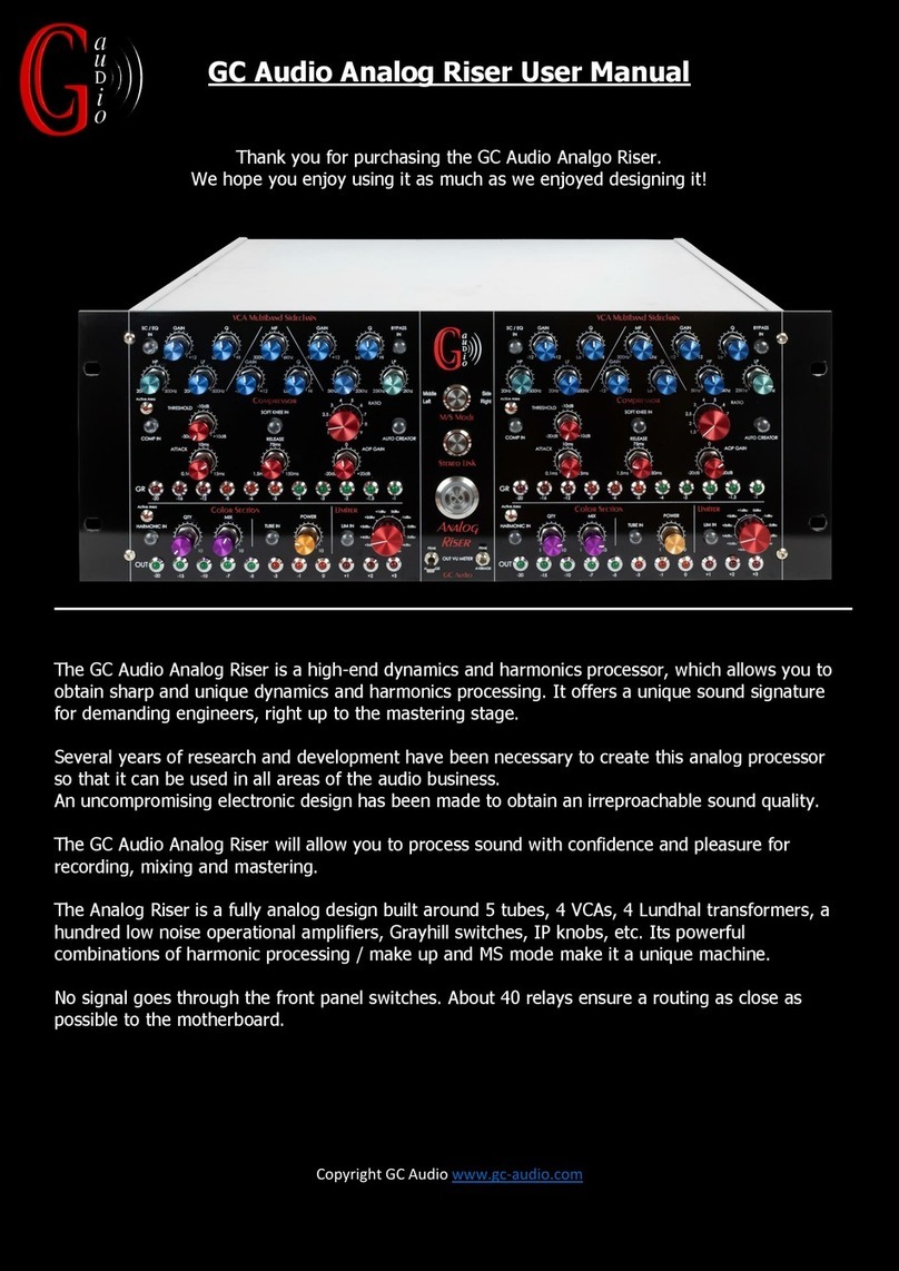 GC audio Analog Riser Manuale utente