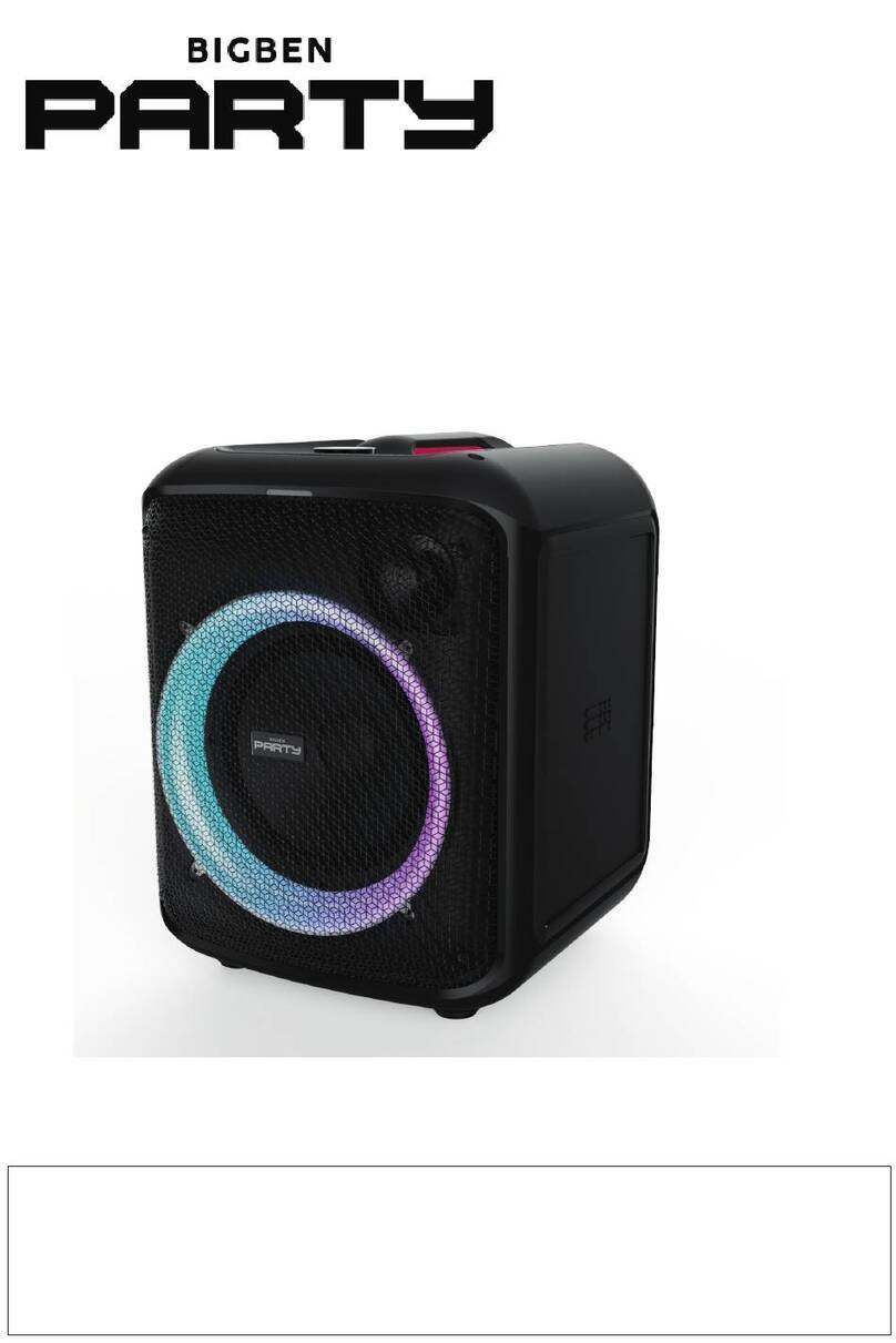 Bigben PARTY CUBE Manuale utente