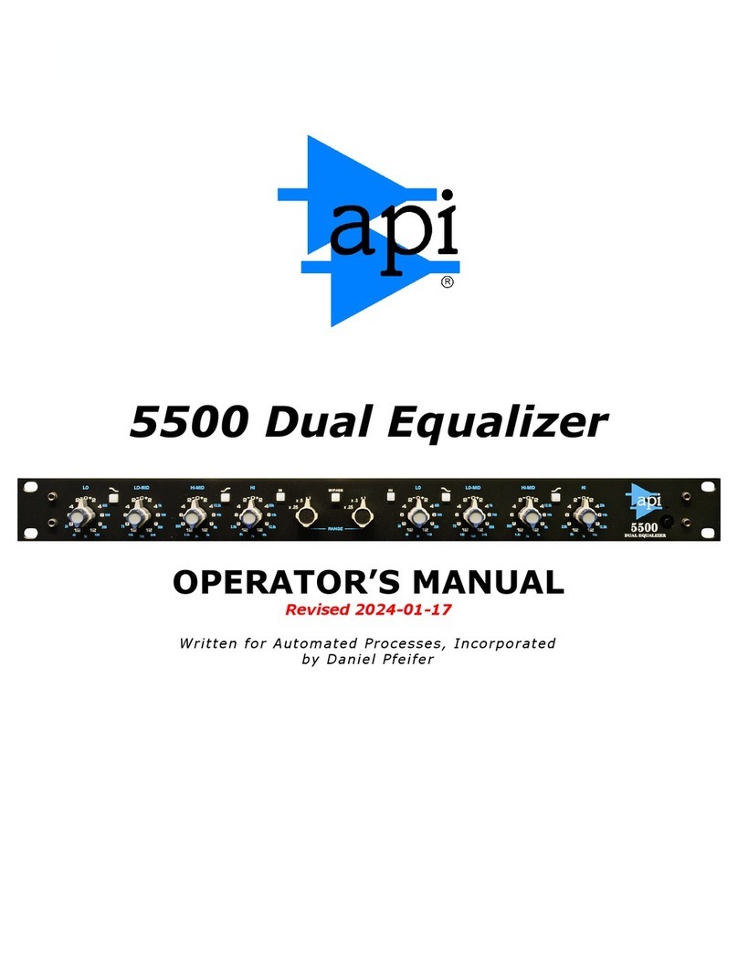 API 5500 Manuale utente