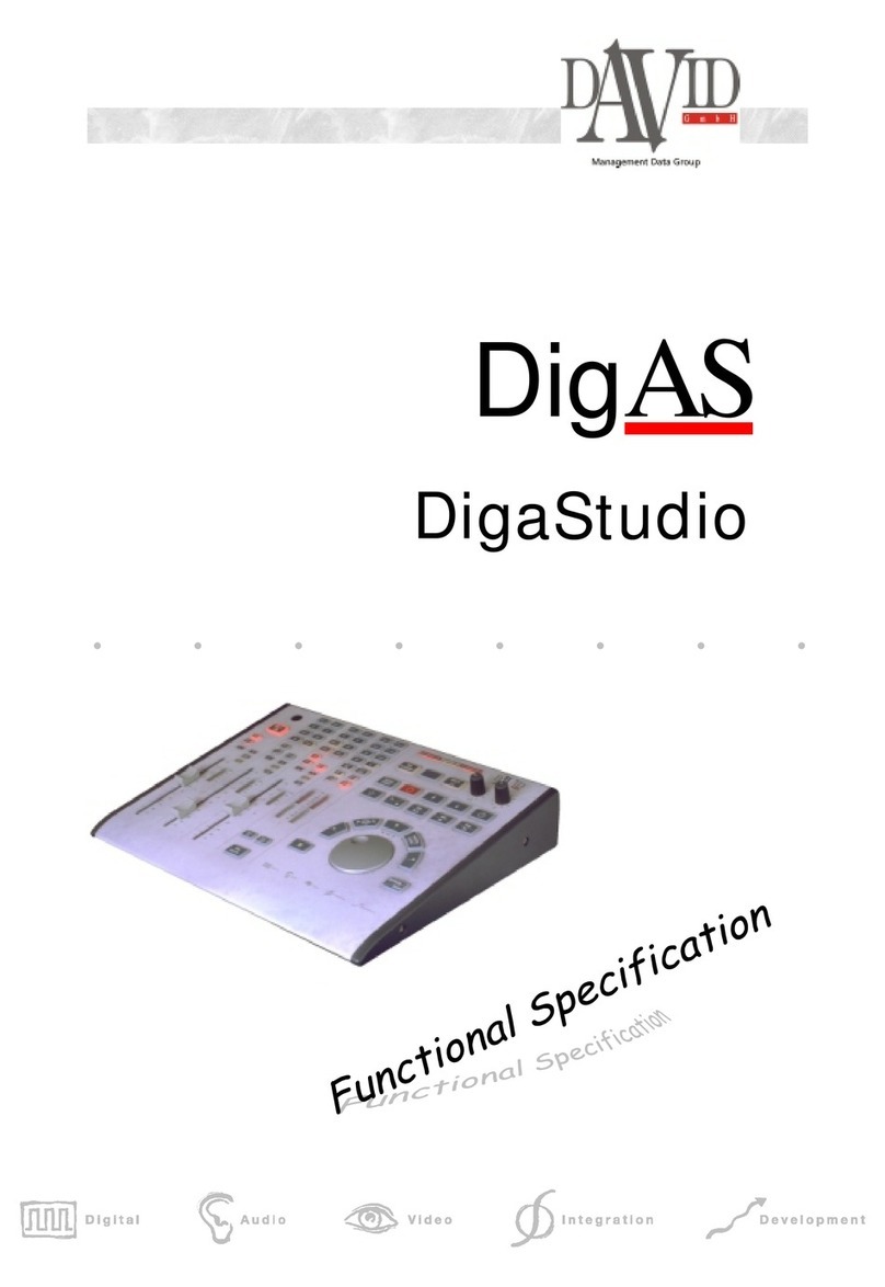 DAVID DigaStudio Manuale utente DAVID DigaStudio Manuale utente