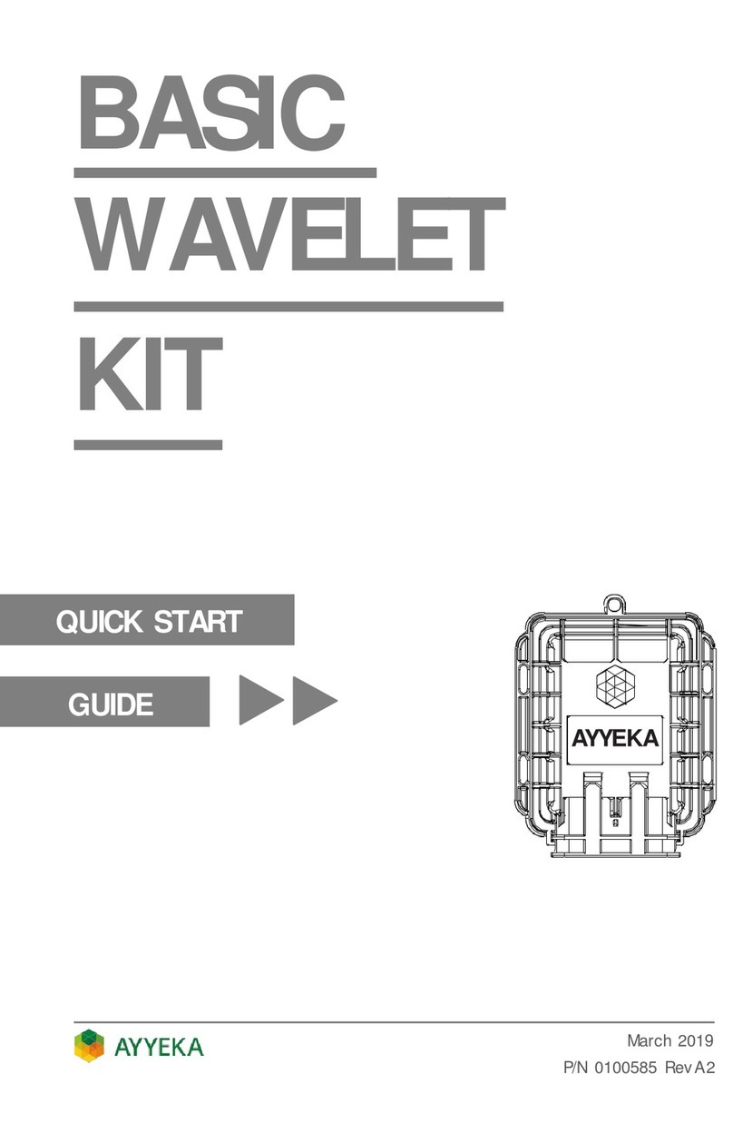 Ayyeka Wavelet Manuale utente Ayyeka Wavelet Manuale utente